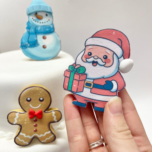 Santa Topper